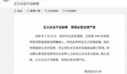 大学生爆料被抓视频大全,揭秘校园安全与法律意识